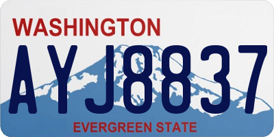 WA license plate AYJ8837