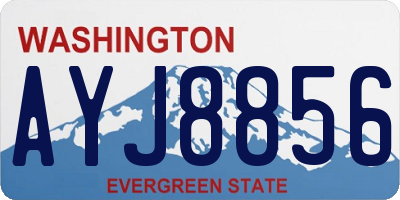WA license plate AYJ8856