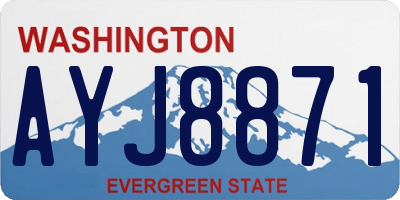WA license plate AYJ8871