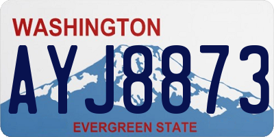 WA license plate AYJ8873