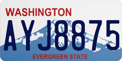 WA license plate AYJ8875