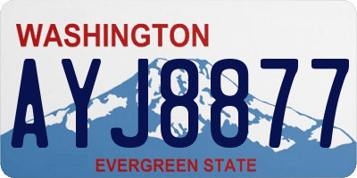 WA license plate AYJ8877