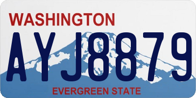 WA license plate AYJ8879