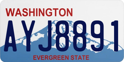 WA license plate AYJ8891