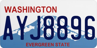 WA license plate AYJ8896