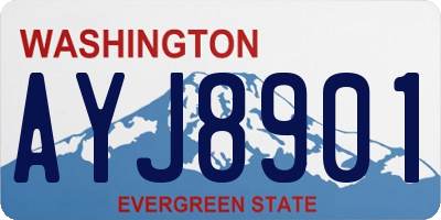 WA license plate AYJ8901
