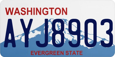 WA license plate AYJ8903