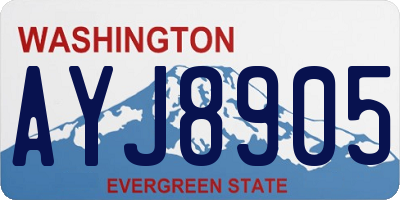 WA license plate AYJ8905