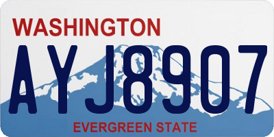 WA license plate AYJ8907