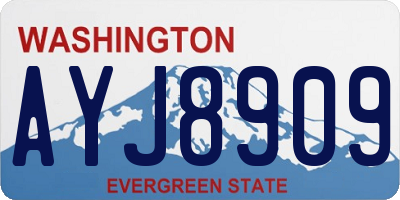 WA license plate AYJ8909