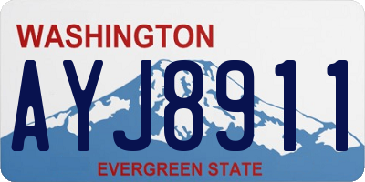 WA license plate AYJ8911