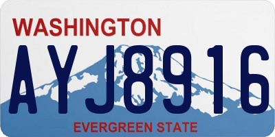 WA license plate AYJ8916