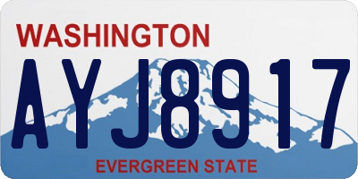 WA license plate AYJ8917