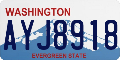 WA license plate AYJ8918
