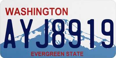 WA license plate AYJ8919