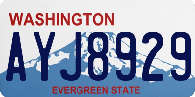 WA license plate AYJ8929