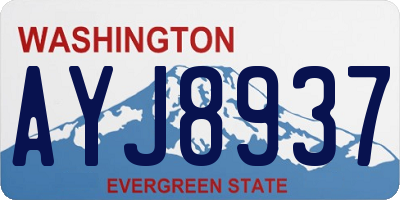 WA license plate AYJ8937