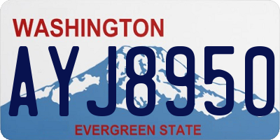 WA license plate AYJ8950