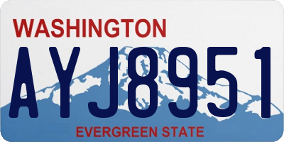 WA license plate AYJ8951