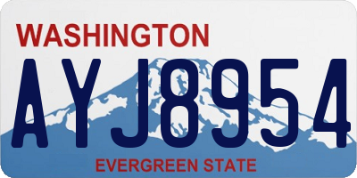 WA license plate AYJ8954