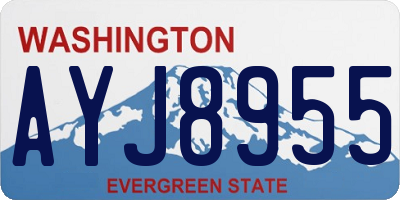 WA license plate AYJ8955