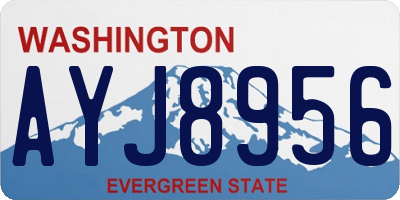 WA license plate AYJ8956