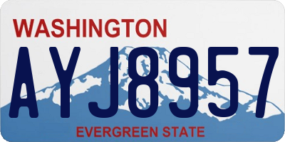 WA license plate AYJ8957