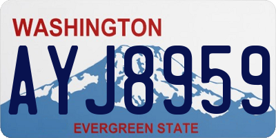WA license plate AYJ8959