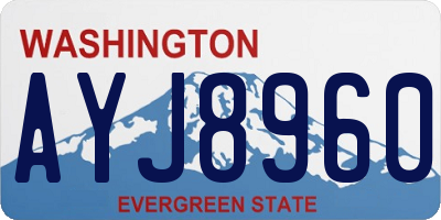 WA license plate AYJ8960