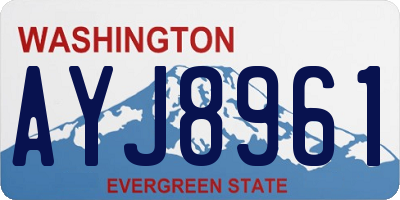 WA license plate AYJ8961