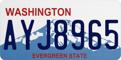 WA license plate AYJ8965