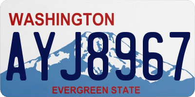 WA license plate AYJ8967