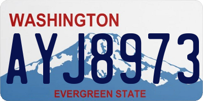 WA license plate AYJ8973