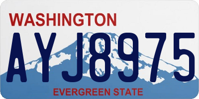 WA license plate AYJ8975