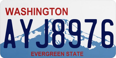 WA license plate AYJ8976