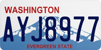WA license plate AYJ8977