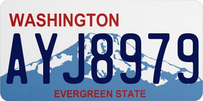 WA license plate AYJ8979