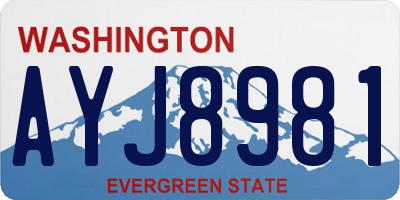 WA license plate AYJ8981