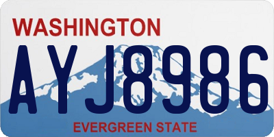 WA license plate AYJ8986