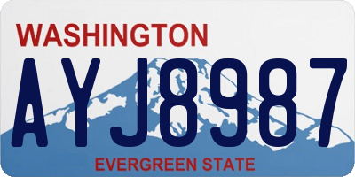 WA license plate AYJ8987
