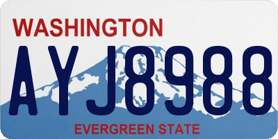 WA license plate AYJ8988