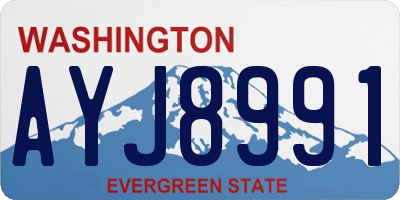 WA license plate AYJ8991