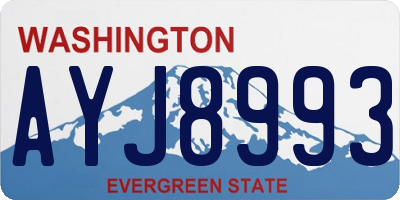 WA license plate AYJ8993