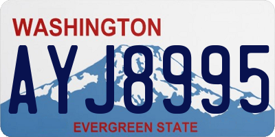WA license plate AYJ8995