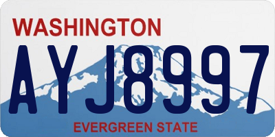 WA license plate AYJ8997