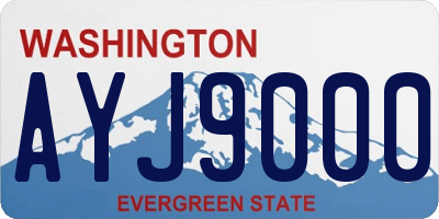WA license plate AYJ9000