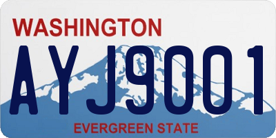WA license plate AYJ9001