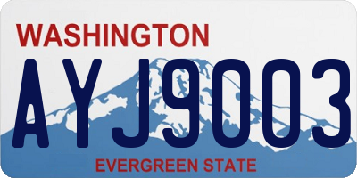 WA license plate AYJ9003