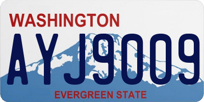 WA license plate AYJ9009