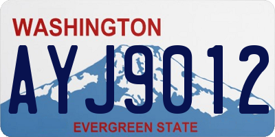 WA license plate AYJ9012